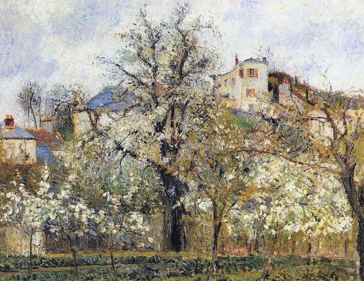 Camille Pissarro Material and Dimensions